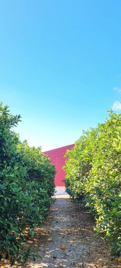 Quinta Dos I'S - Algarve Villa Ferrarias  Dış mekan fotoğraf