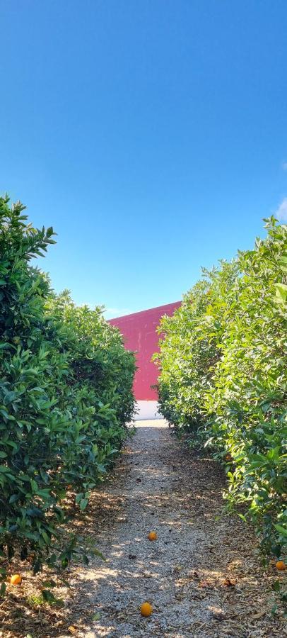 Quinta Dos I'S - Algarve Villa Ferrarias  Dış mekan fotoğraf