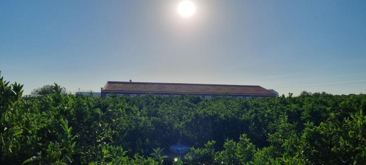 Quinta Dos I'S - Algarve Villa Ferrarias  Dış mekan fotoğraf